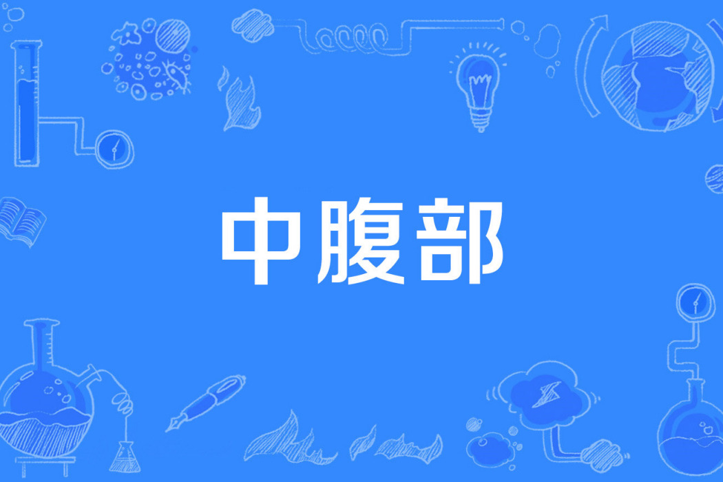 中腹部 中腹部