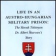 Life in an Austro-Hungarian Military Prison Life in an Austro-Hungarian Military Prison