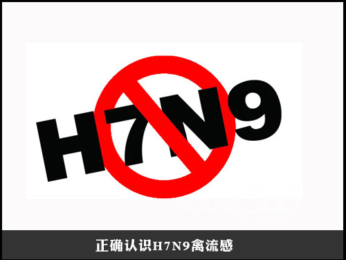 H7N9型禽流感(H7N9病毒)