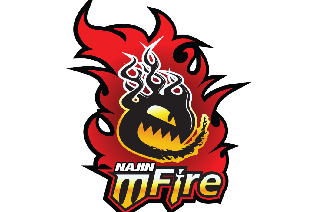 NaJin e-mFire NaJin e-mFire