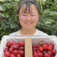 張明霞(甘肅助農女孩) 張明霞(甘肅助農女孩)