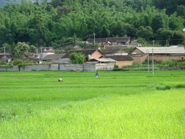回貢老寨村 回貢老寨村