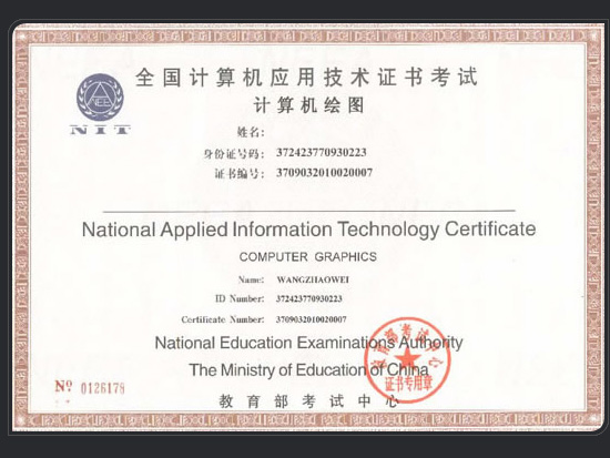 nit(全國計算機套用技術證書考試)