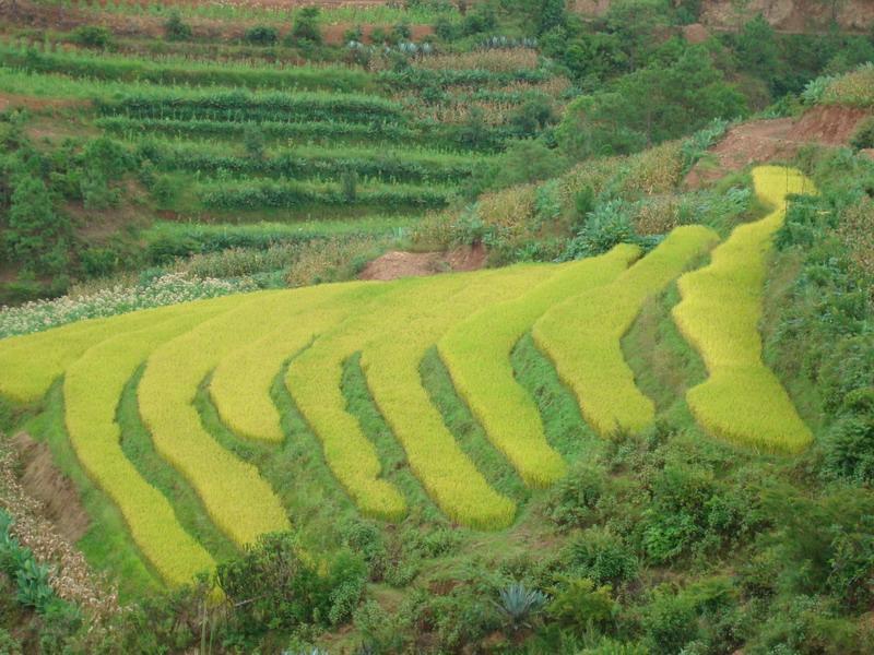 土固房村 土固房村