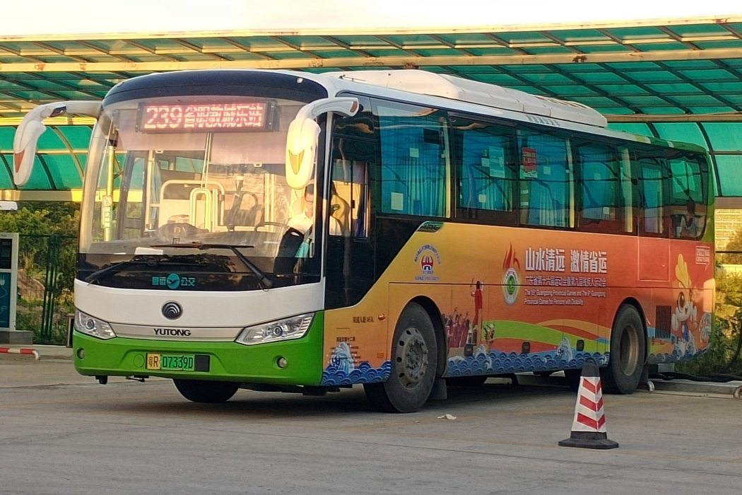 清遠公交239路 清遠公交239路