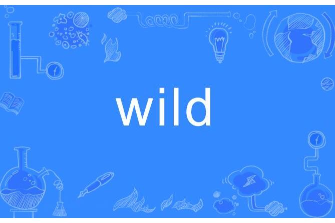 wild(英文單詞) wild(英文單詞)