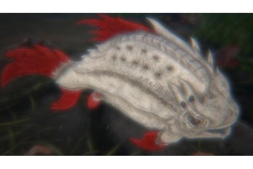 食人魚(手遊《方舟:生存進化》中的恐龍) 食人魚(手遊《方舟:生存進化》中的恐龍)