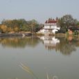 大石鄉(安徽省安慶市太湖縣下轄鄉) 大石鄉(安徽省安慶市太湖縣下轄鄉)