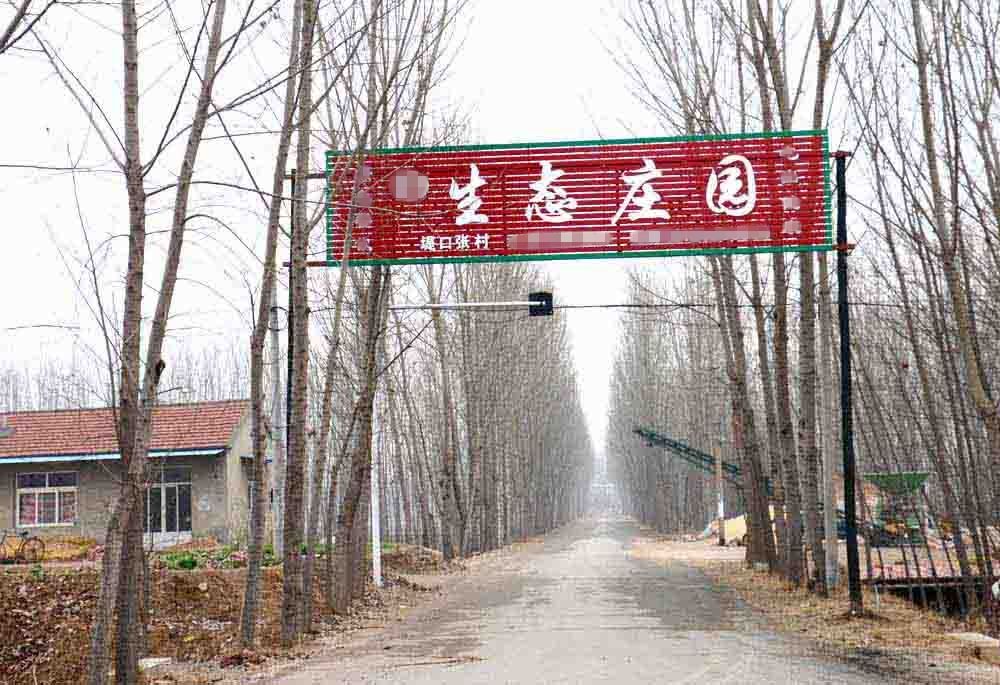 堤口張村(河北省滄州市南皮縣寨子鎮下轄村) 堤口張村(河北省滄州市南皮縣寨子鎮下轄村)