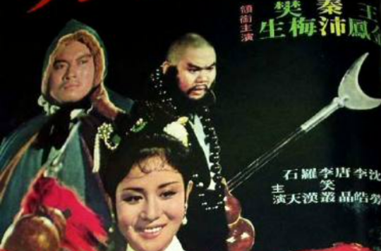 林沖夜奔(1972年程剛導演香港電影)