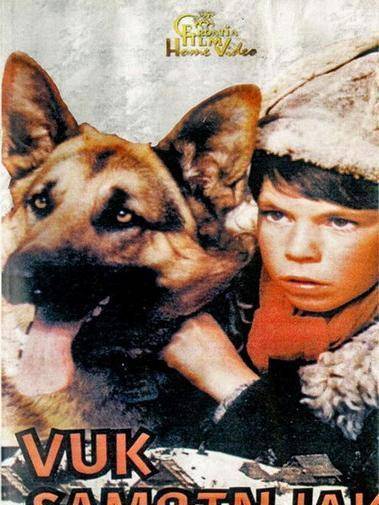 Vuk samotnjak Vuk samotnjak