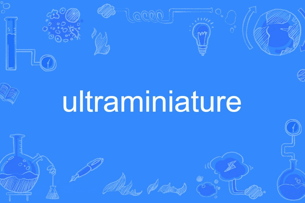 ultraminiature ultraminiature
