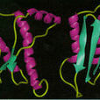 PRION PRION