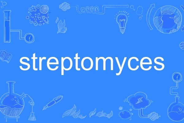 streptomyces streptomyces
