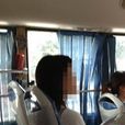 公交占座姐 公交占座姐