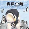寶貝企鵝 寶貝企鵝