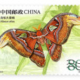 昆蟲(二) 昆蟲(二)