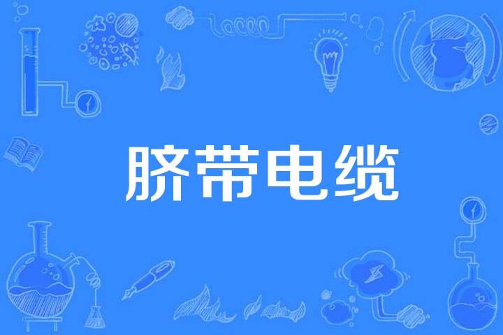 臍帶電纜 臍帶電纜