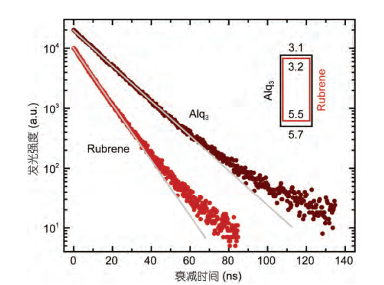 圖1 rubrene分子和Alq3分子中S1態激子平均壽命的測量結果