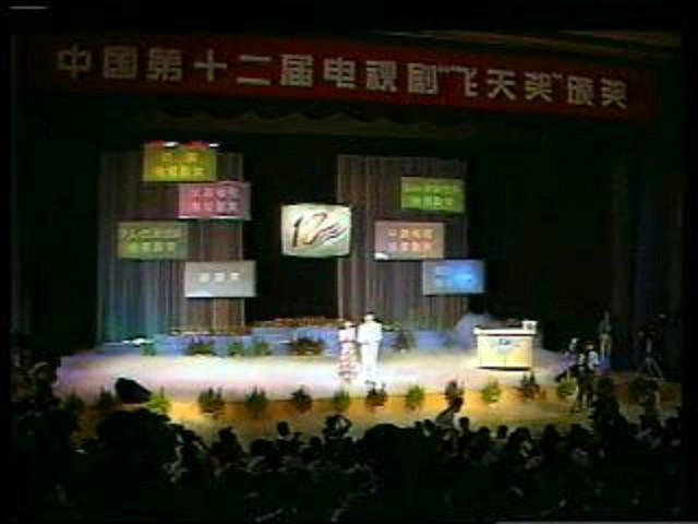 第12屆中國電視劇飛天獎