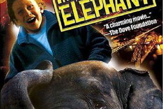 The Impossible Elephant The Impossible Elephant