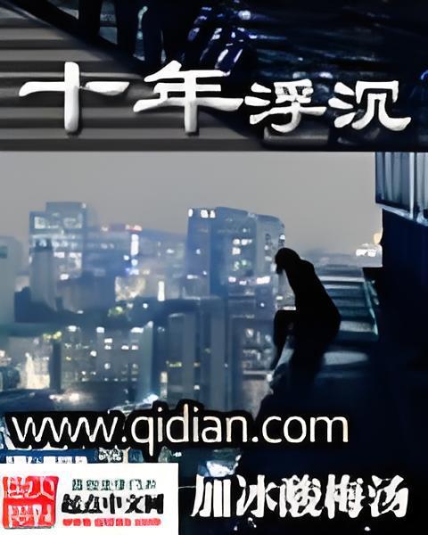 十年浮沉 十年浮沉