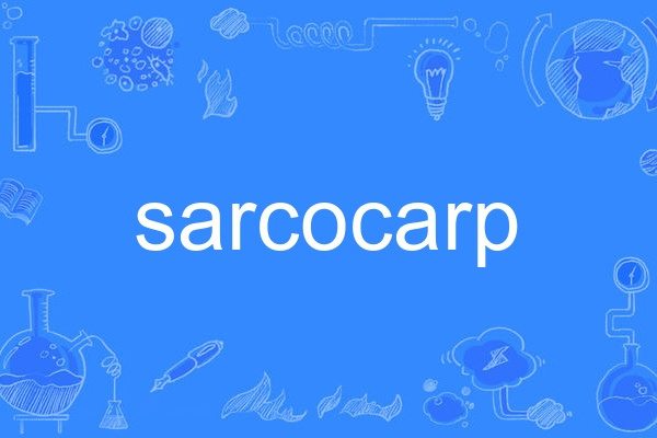 sarcocarp sarcocarp
