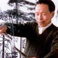 楊光輝(蕪湖市鐵畫藝術研究所所長) 楊光輝(蕪湖市鐵畫藝術研究所所長)
