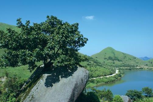 茅坪湖 茅坪湖