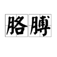 胳膊 胳膊