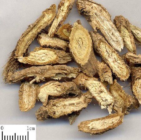 防風(茴草) 防風(茴草)
