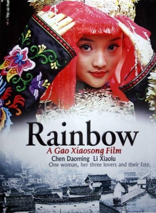李小璐 李小璐