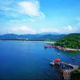 深圳金沙灣海濱度假區 深圳金沙灣海濱度假區