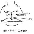 長頻穴 長頻穴