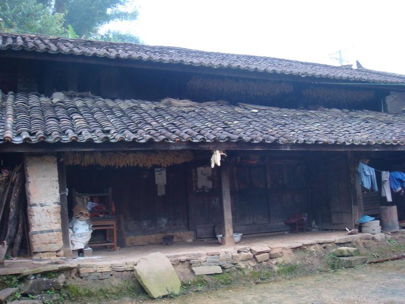 麻傈樹村