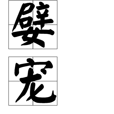 嬖寵 嬖寵