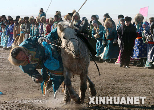 蒙古馴馬法