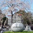 上野公園 上野公園