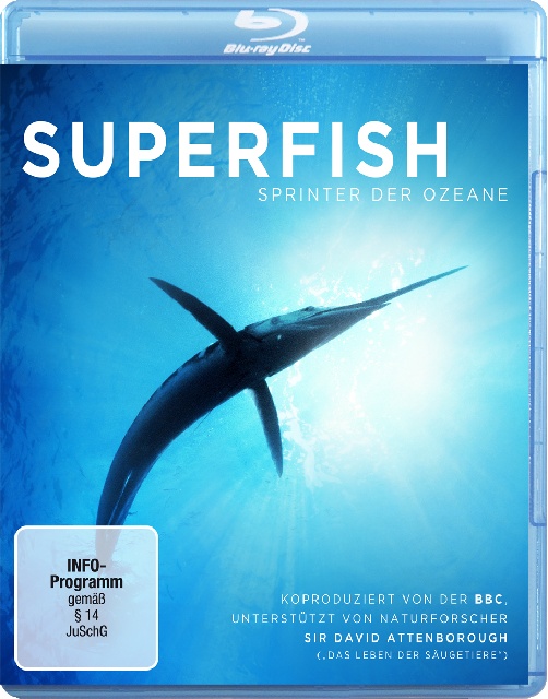 造物神奇：超級魚類