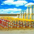 山東省石油天然氣開發總公司