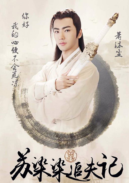 蘇染染追夫記(2016年戴維執導網路劇)