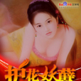 護花妖孽(夜武創作的網路小說) 護花妖孽(夜武創作的網路小說)