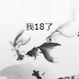我18了 我18了