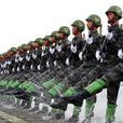 中國人民解放軍嚴密防範網路泄密十條禁令