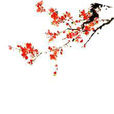 梅花其一 梅花其一
