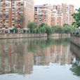 楊樹浦港 楊樹浦港