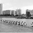 存心村(廣東省高州市荷塘鎮下轄村) 存心村(廣東省高州市荷塘鎮下轄村)