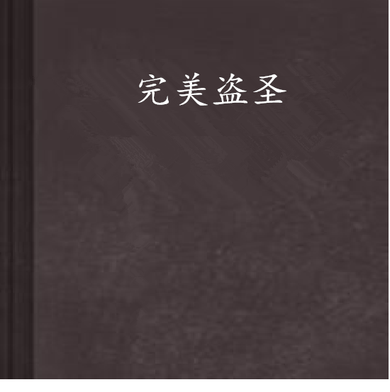 完美盜聖 完美盜聖