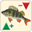 Fishing forecast