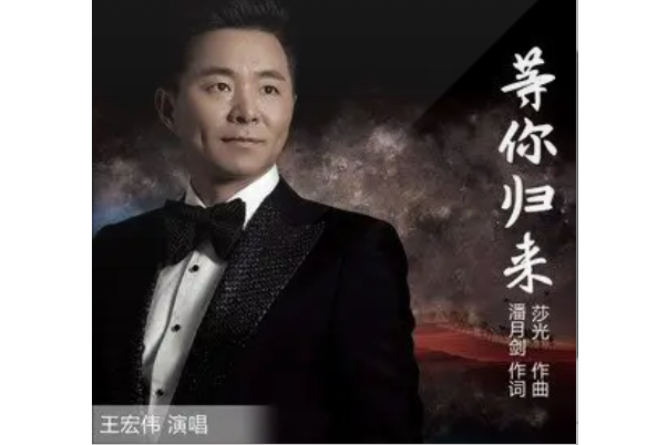 等你歸來(王宏偉演唱歌曲) 等你歸來(王宏偉演唱歌曲)